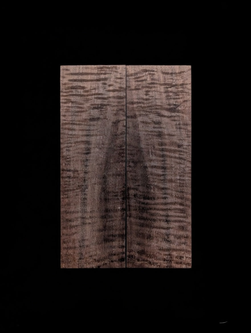 Walnut Scales #256
