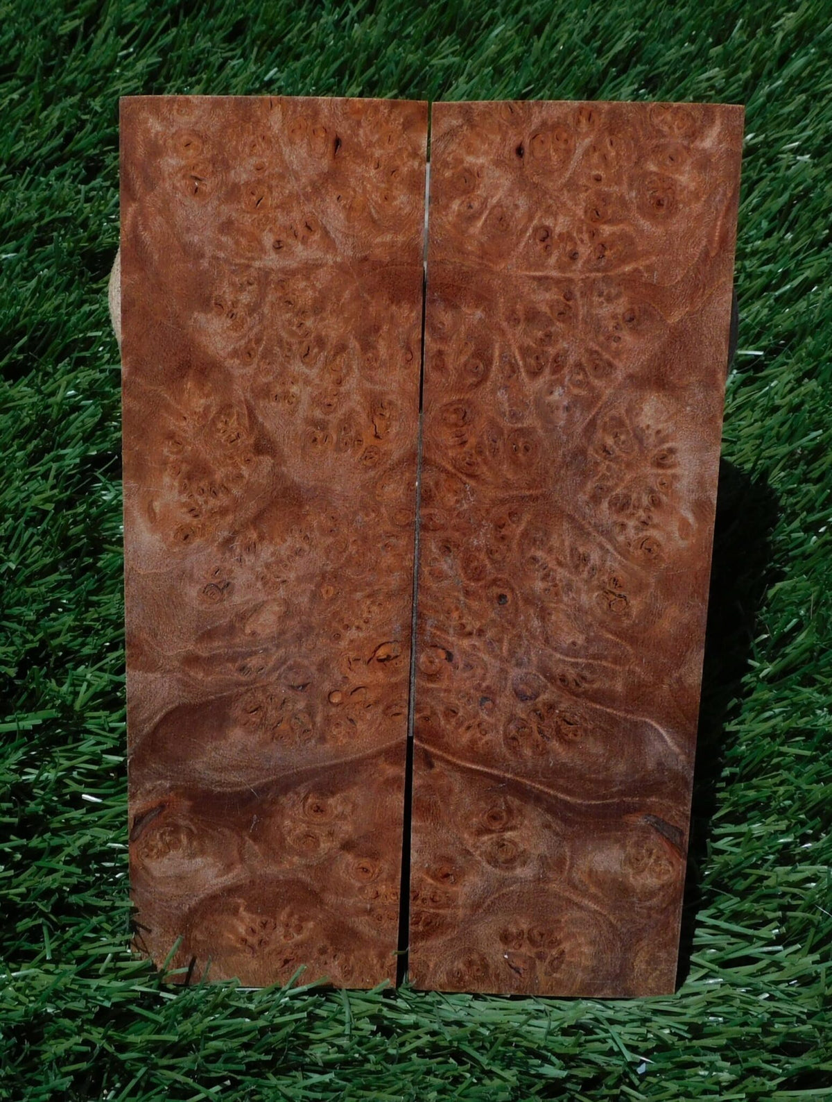 Maple Burl Scales #168