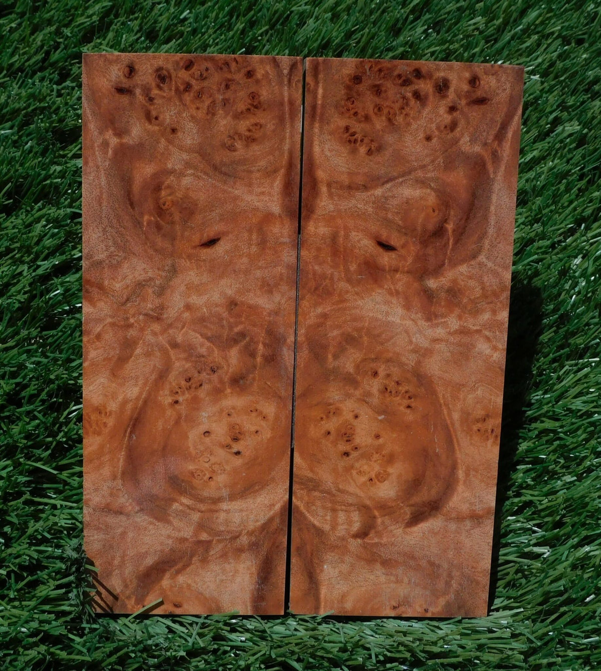 Maple Burl Scales #170
