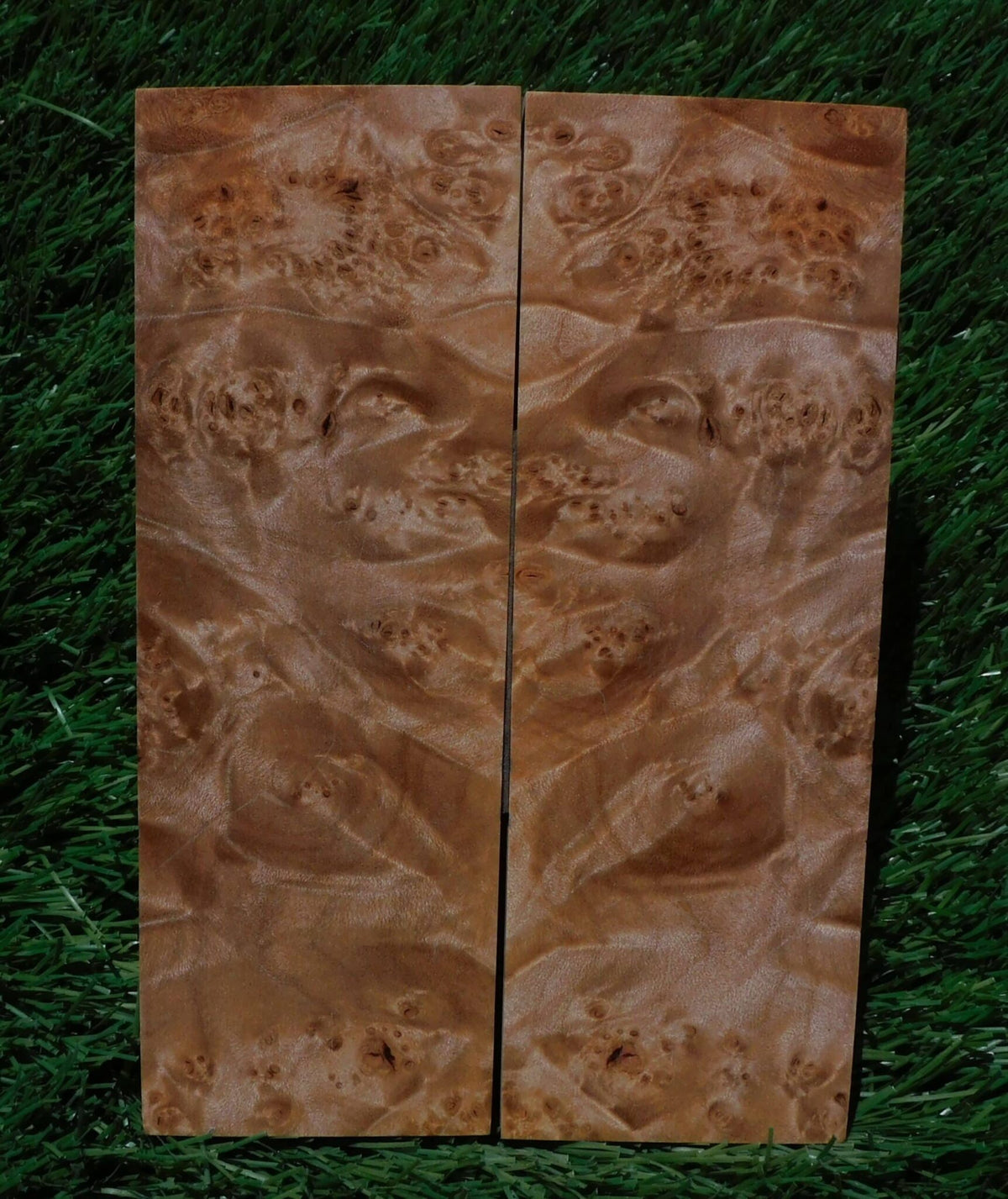 Maple Burl Scales #176