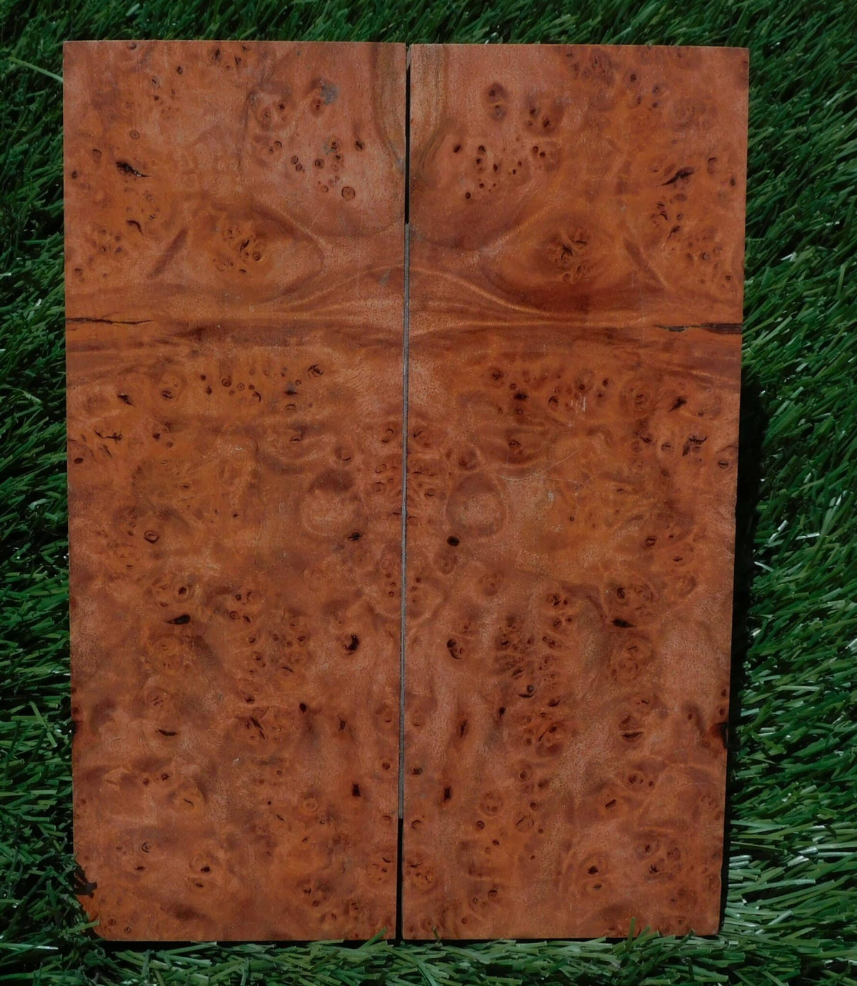 Maple Burl Scales #177