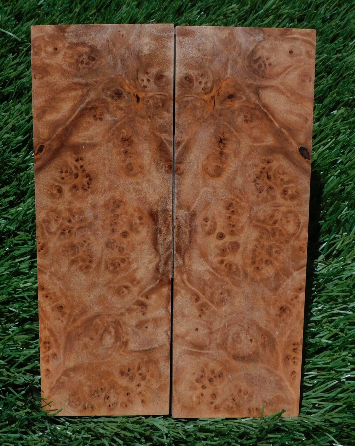 Maple Burl Scales #178