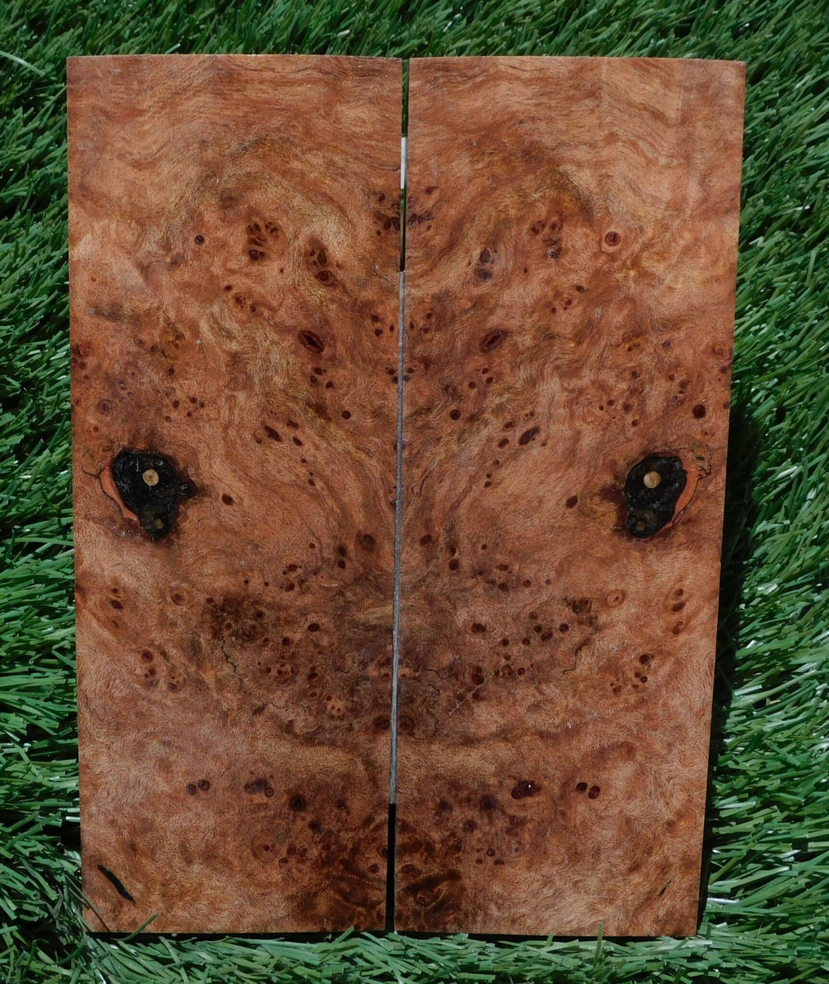 Maple Burl Scales #183