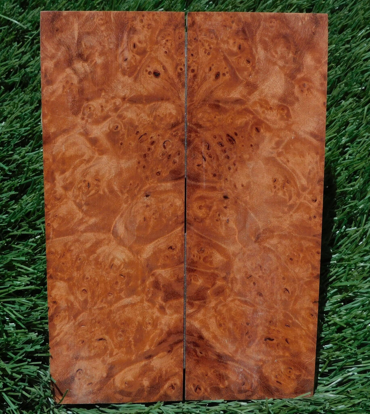 Maple Burl Scales #188