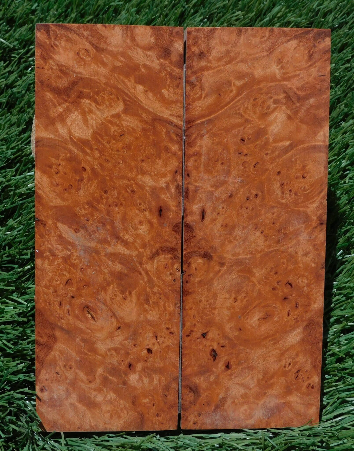 Maple Burl Scales #189