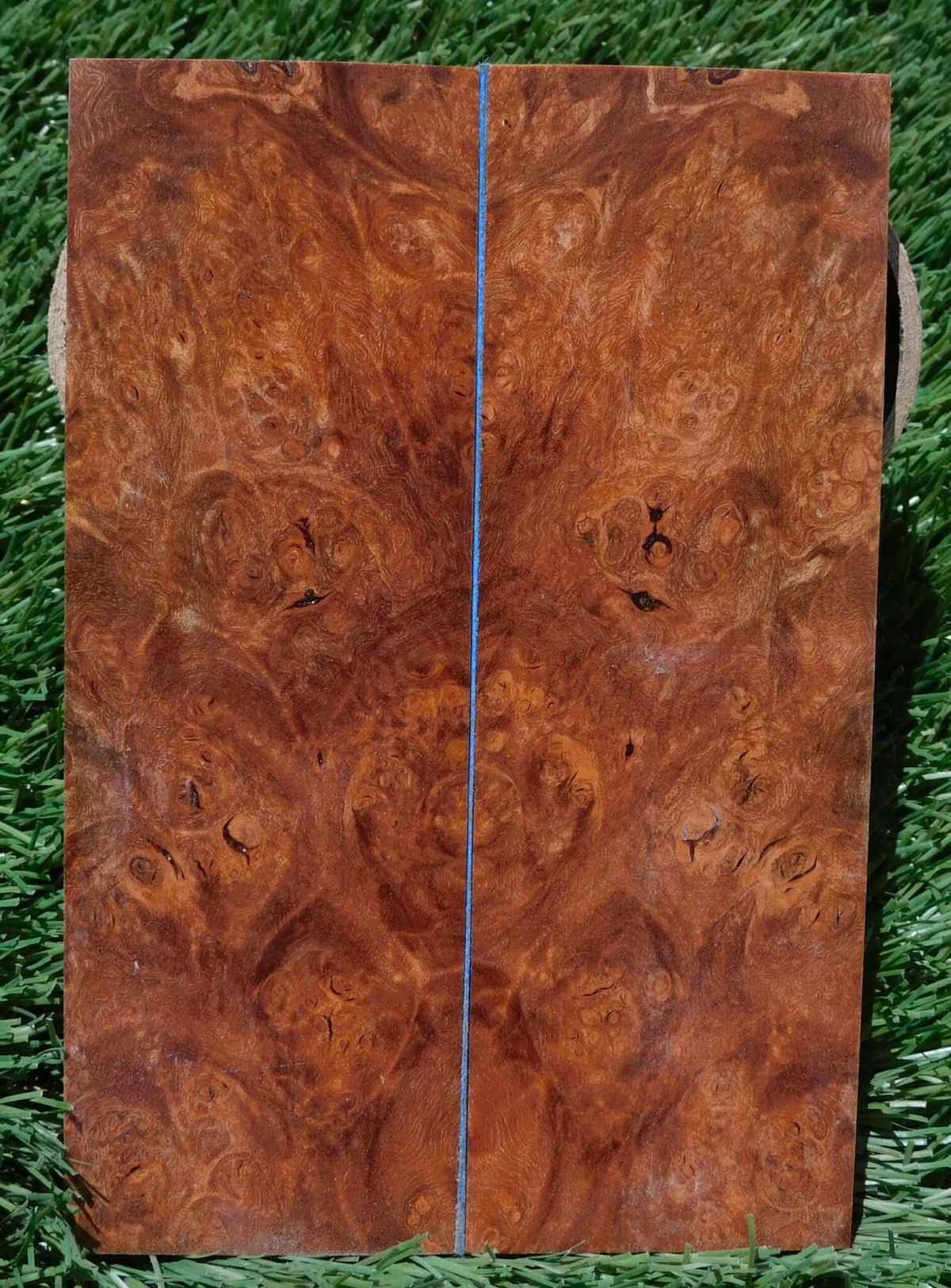 Maple Burl Scales #190