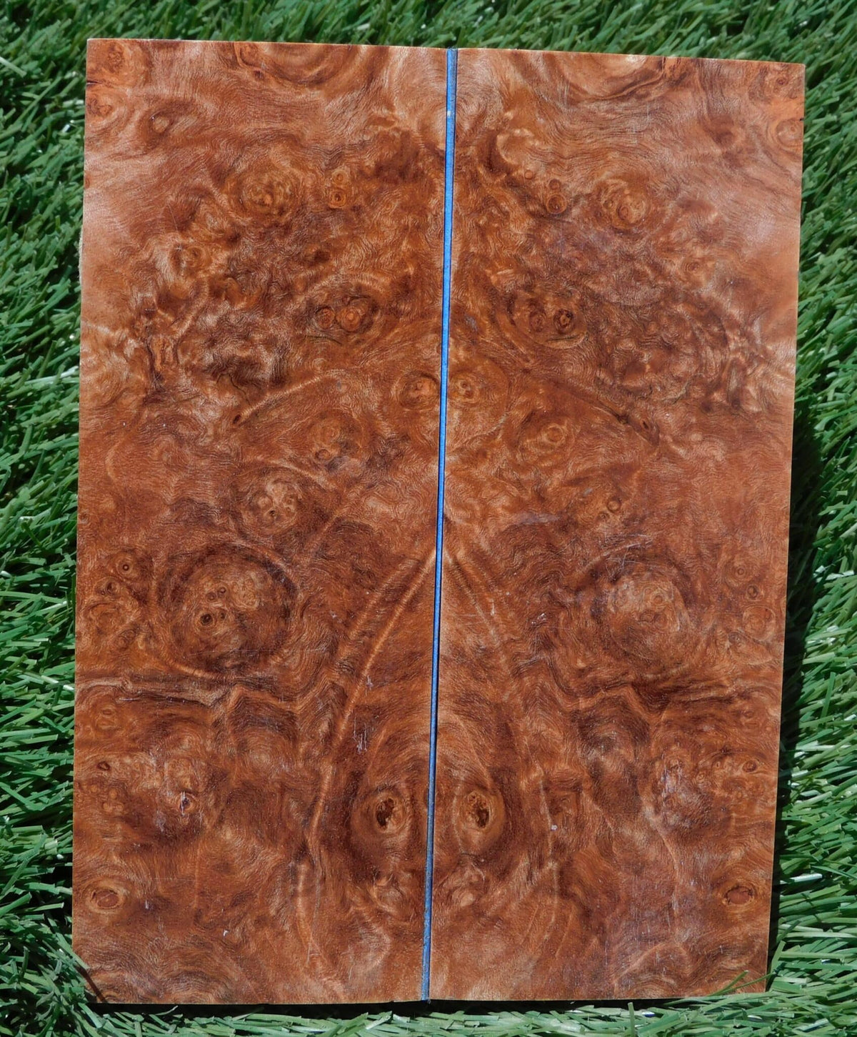 Maple Burl Scales #191