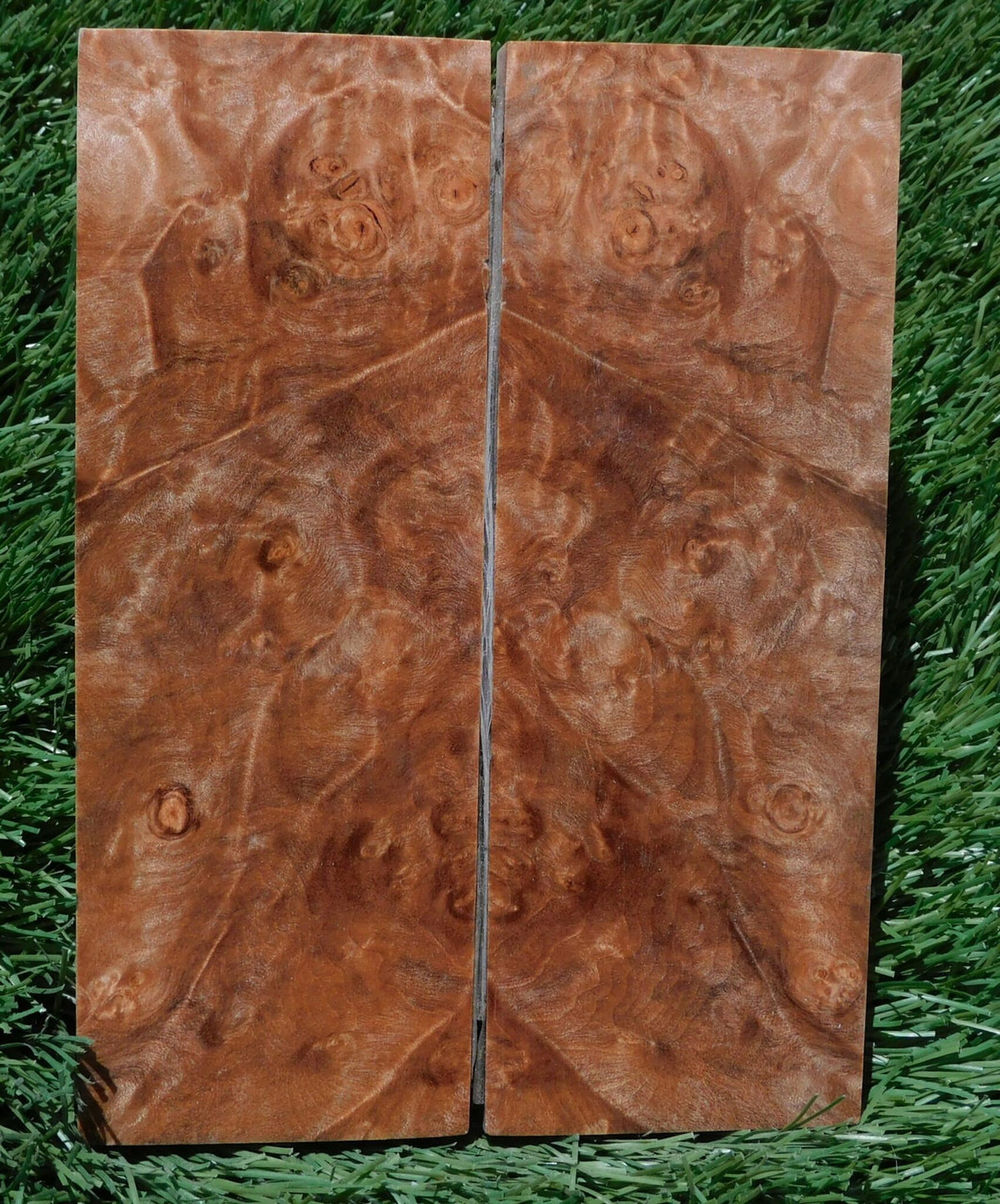 Maple Burl Scales #193
