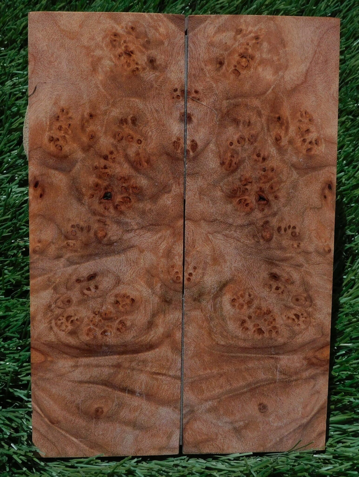 Maple Burl Scales #195