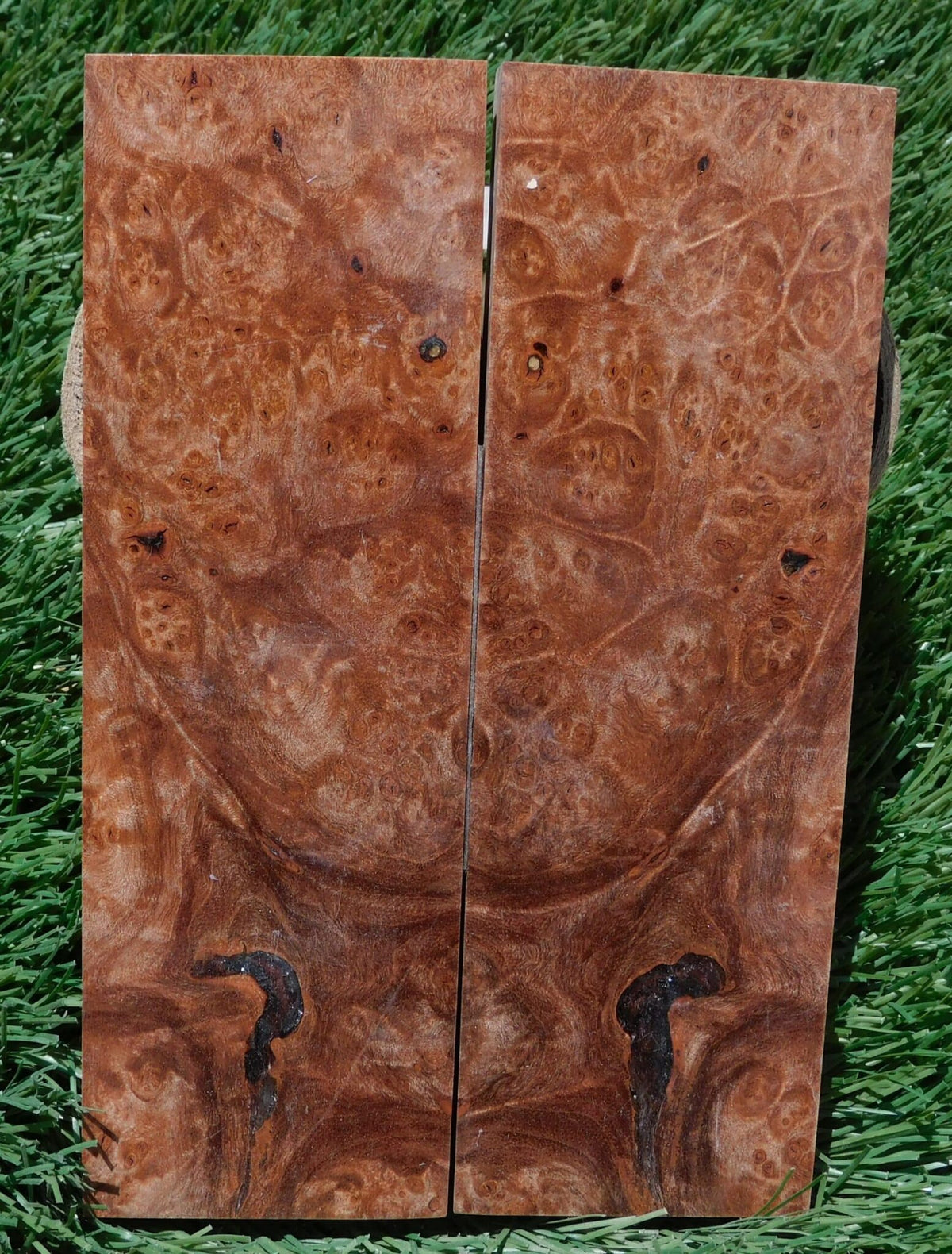 Maple Burl Scales #196