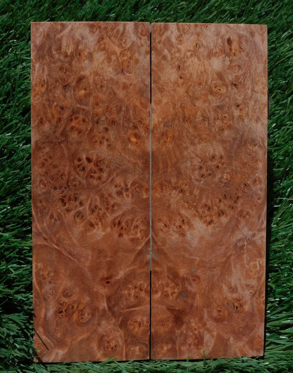 Maple Burl Scales #201