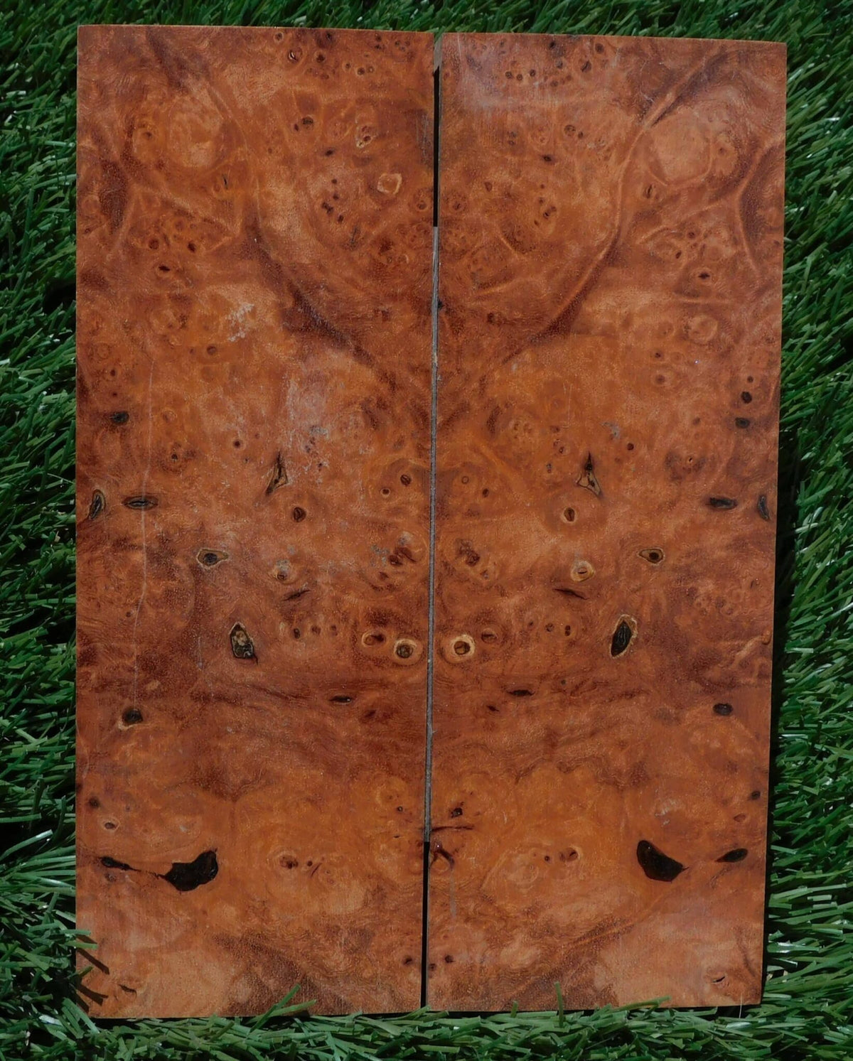 Maple Burl Scales #203