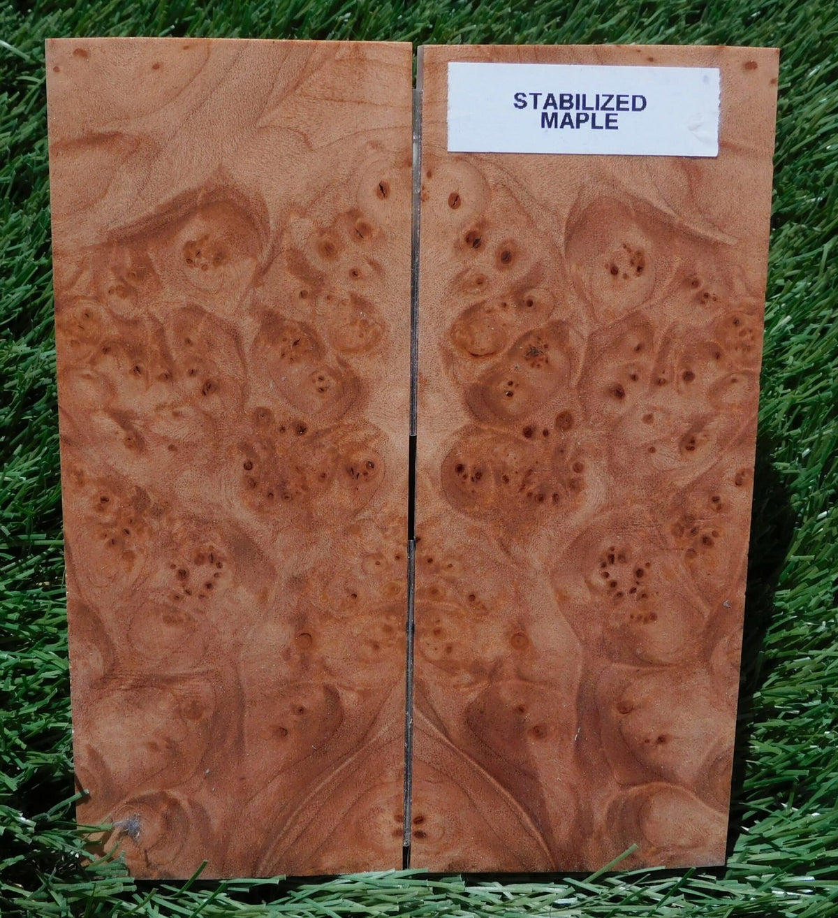 Maple Burl Scales #206