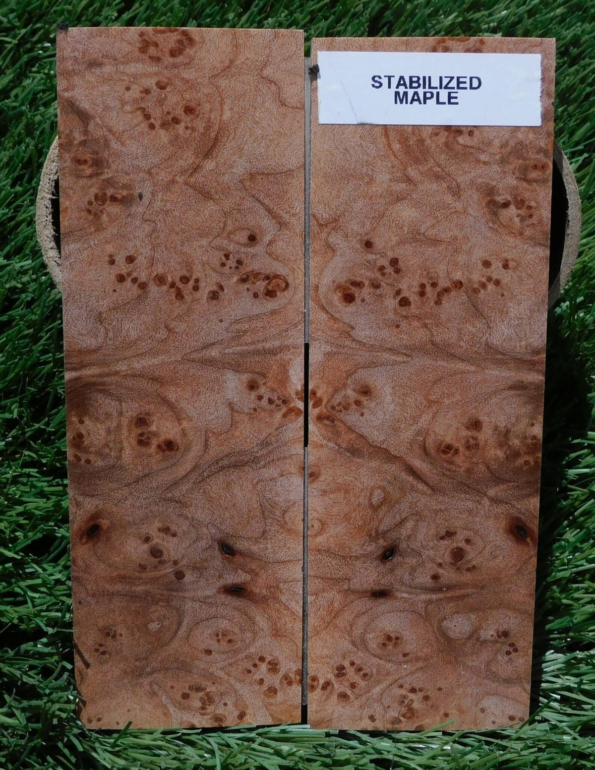 Maple Burl Scales #207