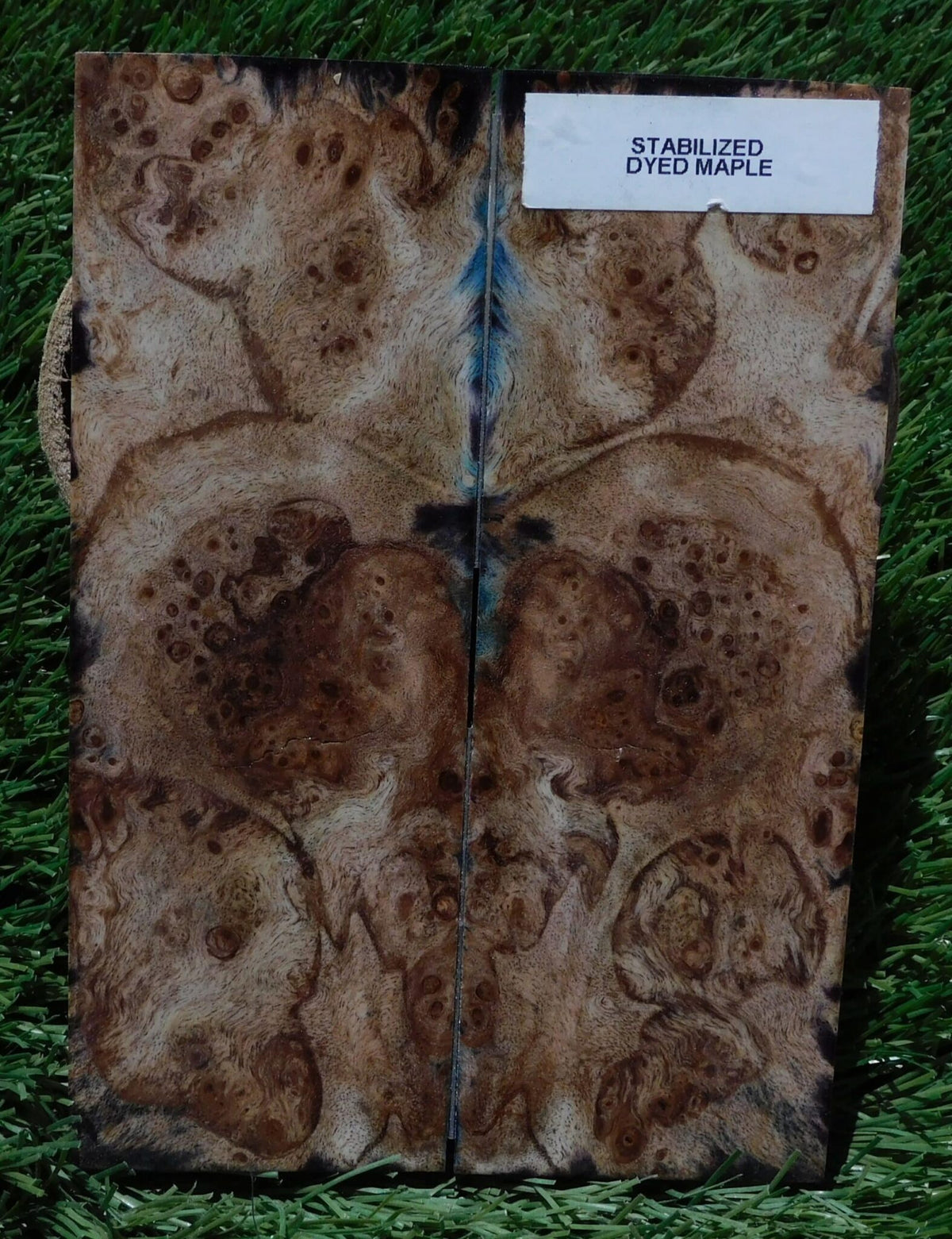 Maple Burl Scales *Dyed* #220