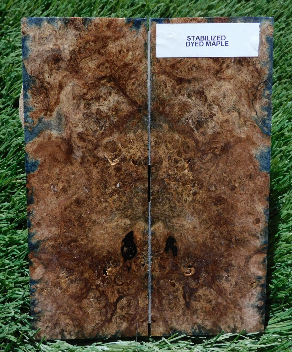 Maple Burl Scales *Dyed* #228