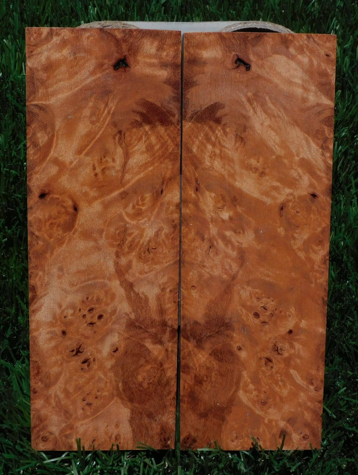 Maple Burl Scales #245