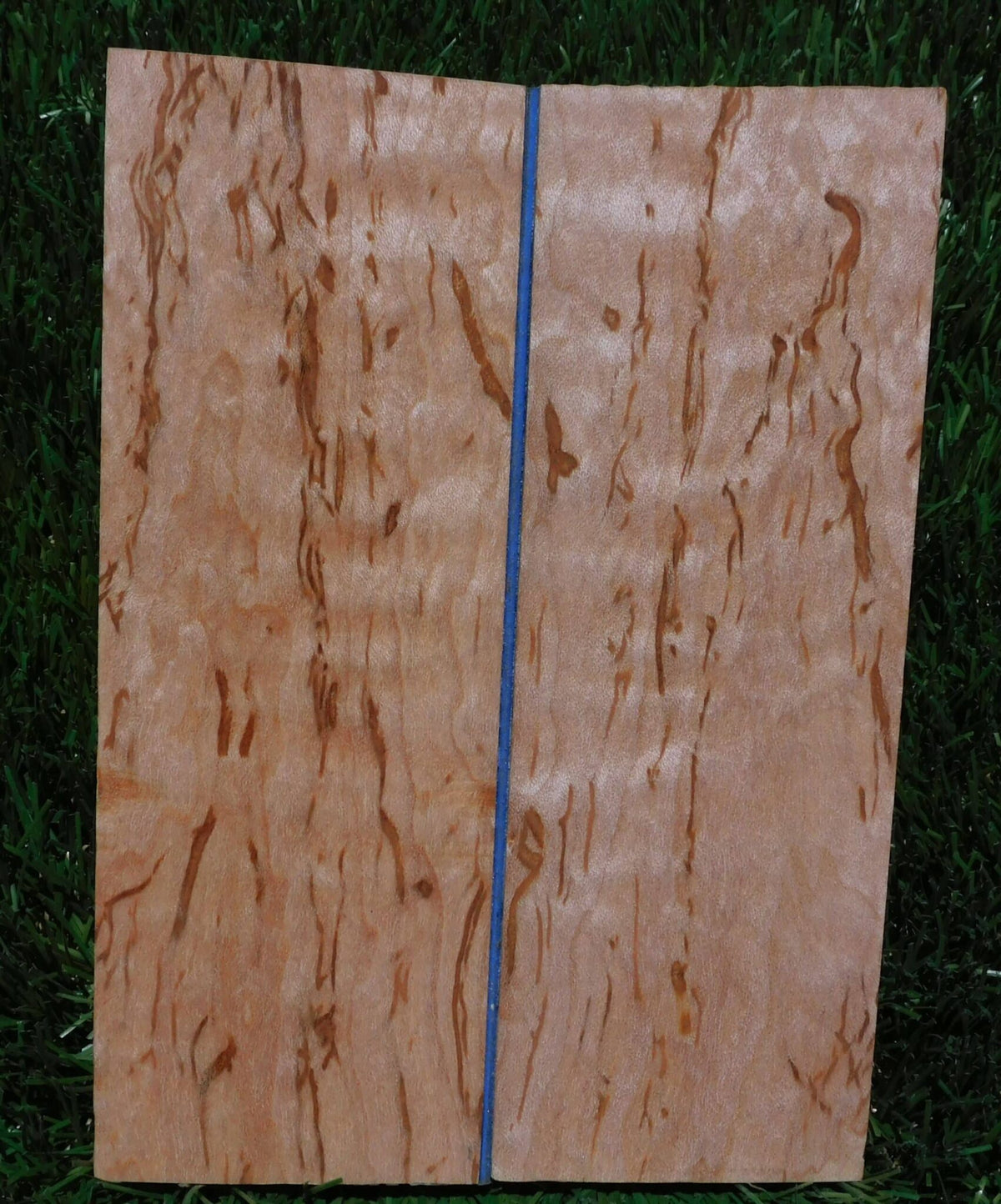 Curly Birch Scales #252