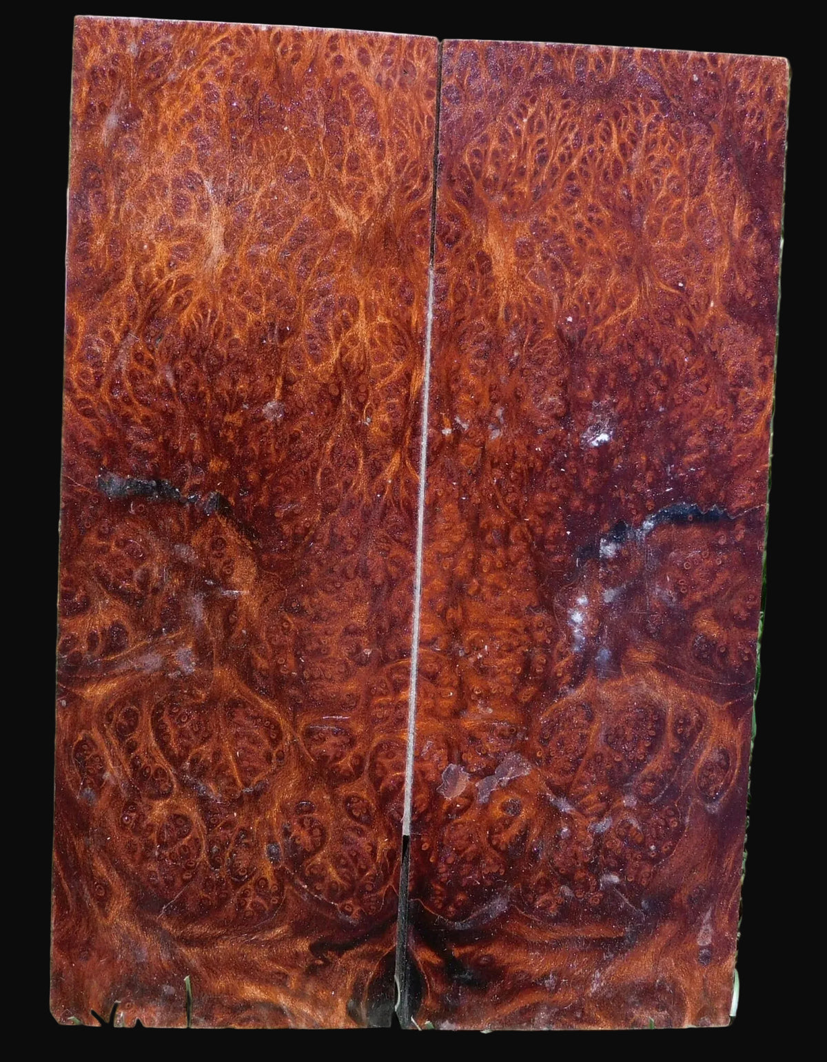 Redwood Scales #274
