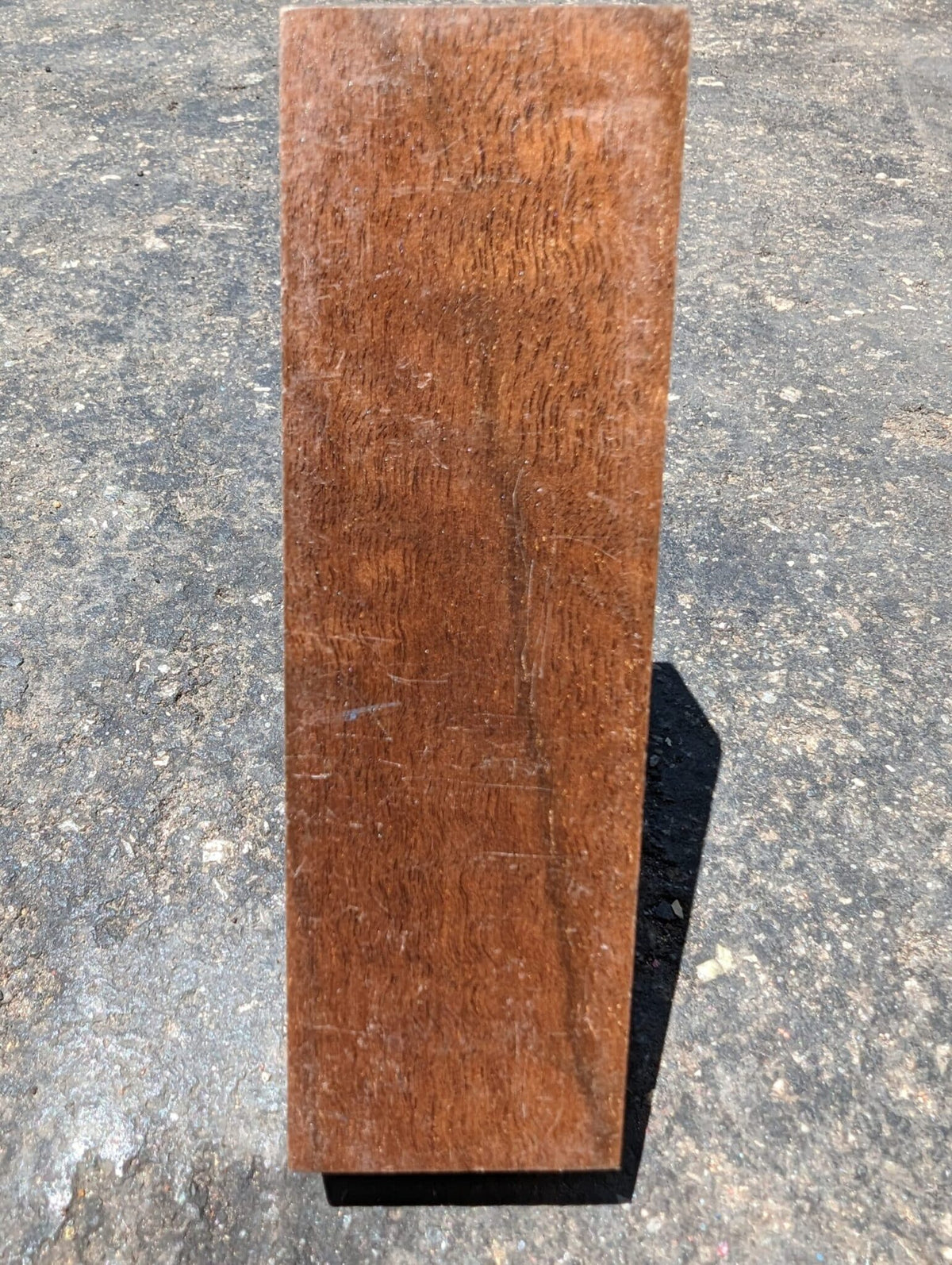 Walnut Block #4
