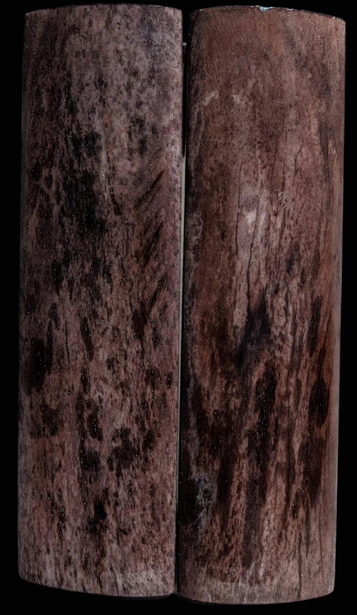Smooth Bone Dyed Brown "Radius" Scales