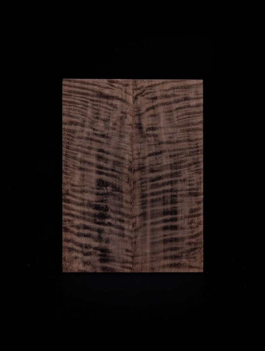 Walnut Scales #269