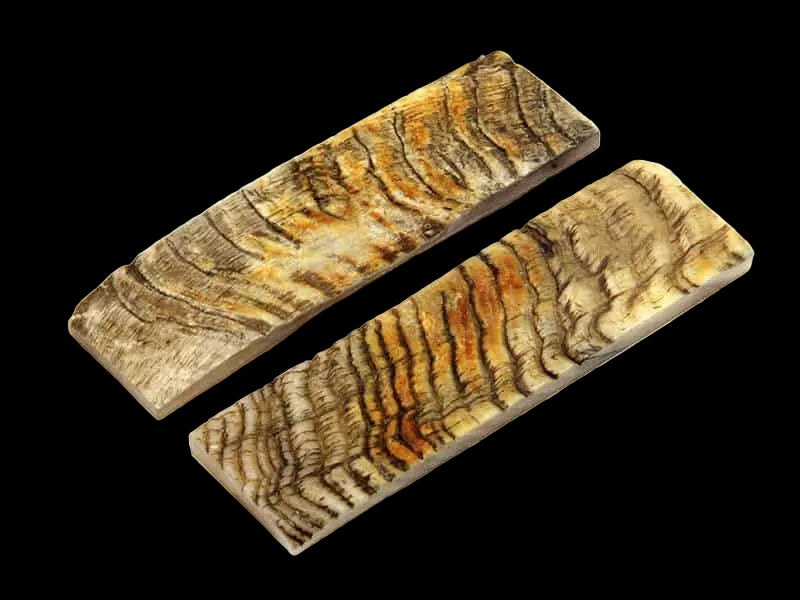 Ram Horn Scales - 4-1/2" x 1-1/4"