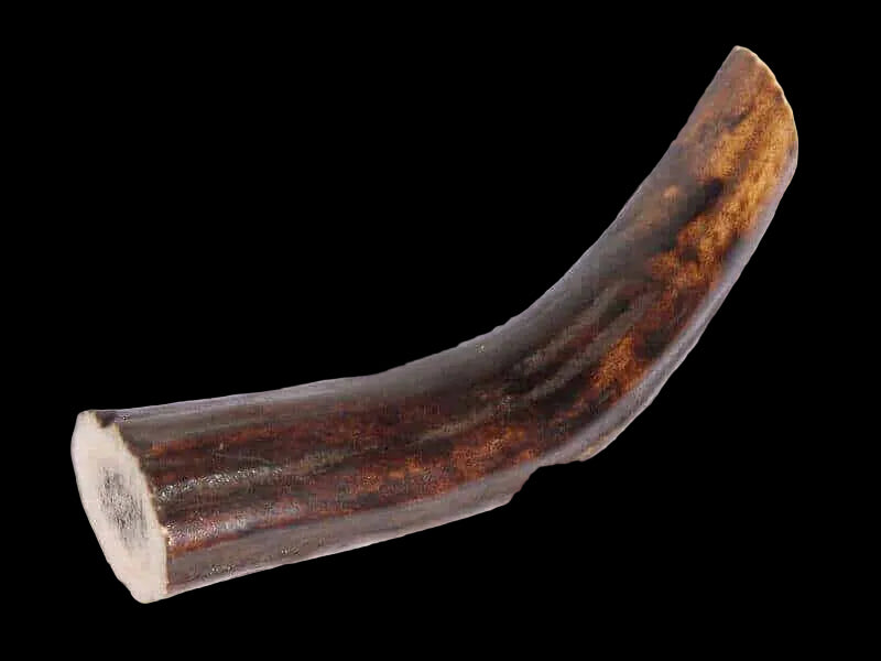 Stag Tapered Small