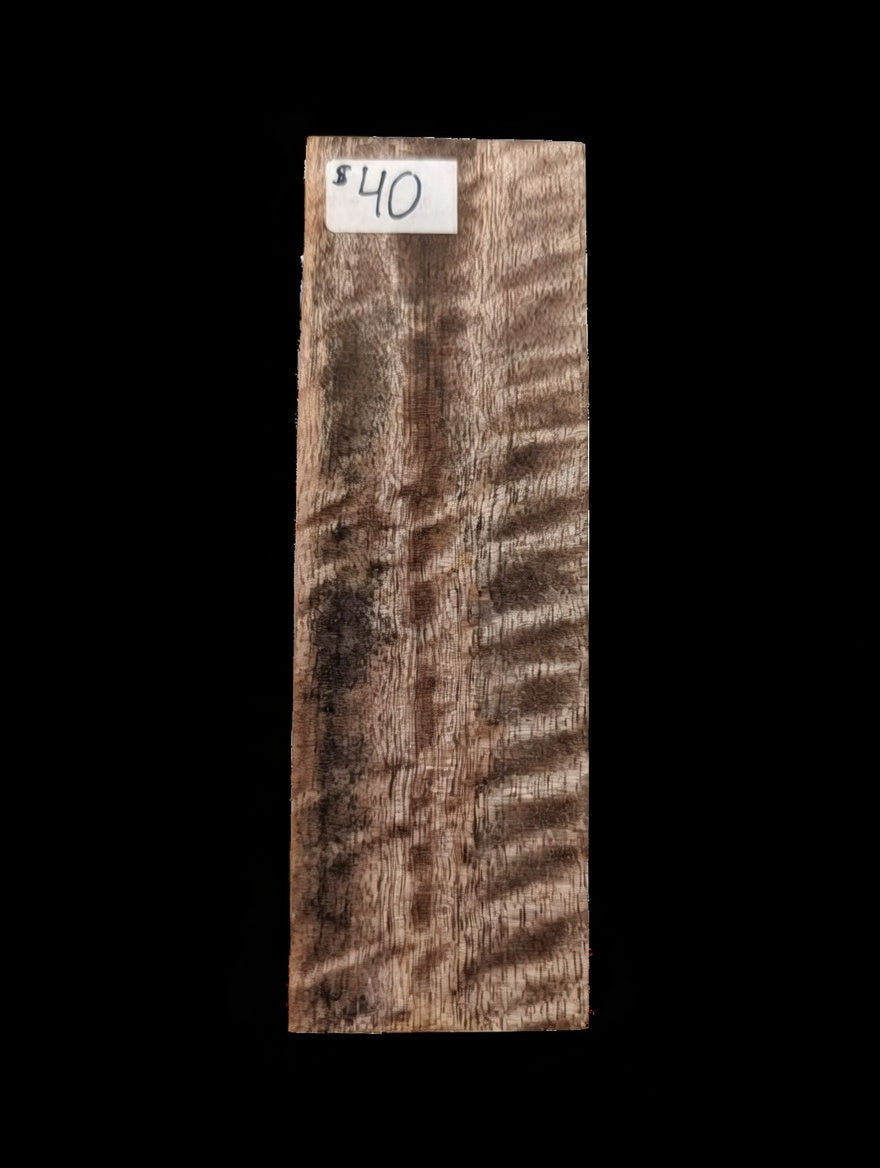 Spalted Mango Block #005