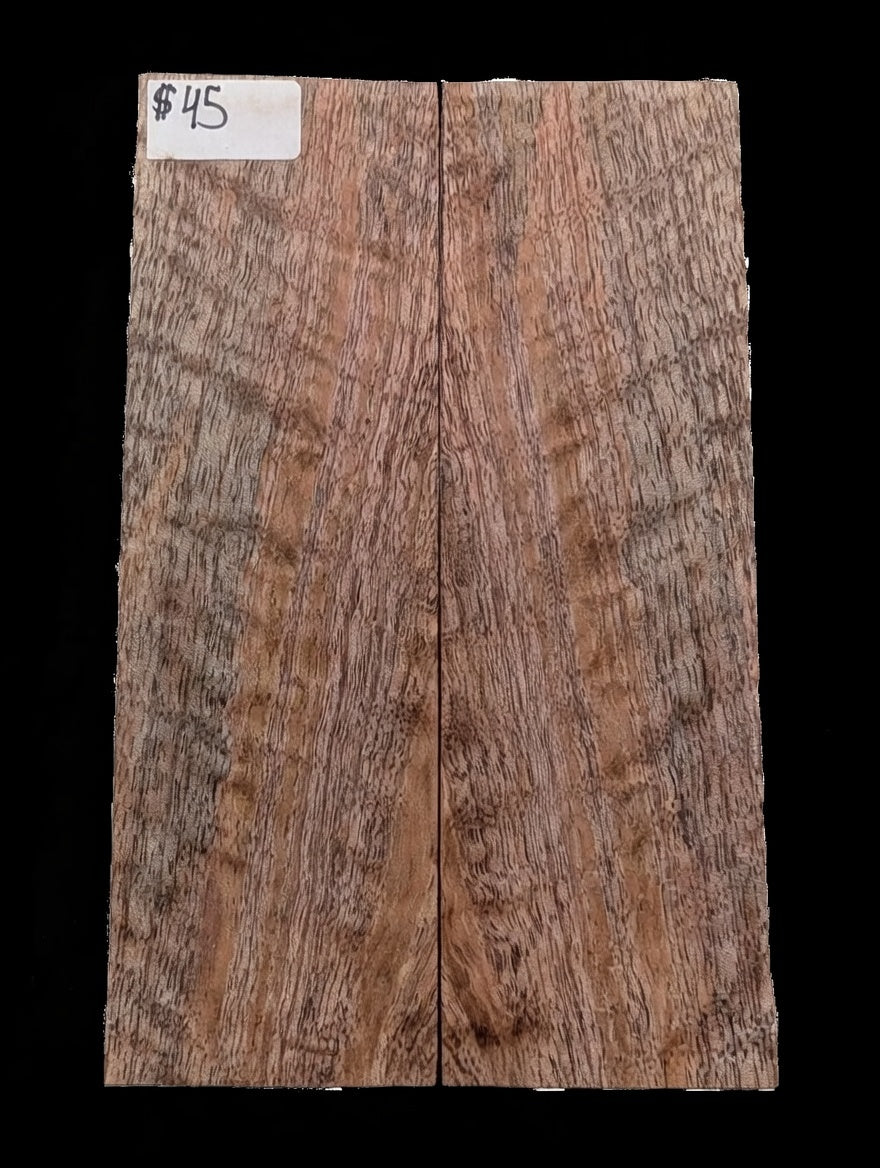 Spalted Mango Scales #0101