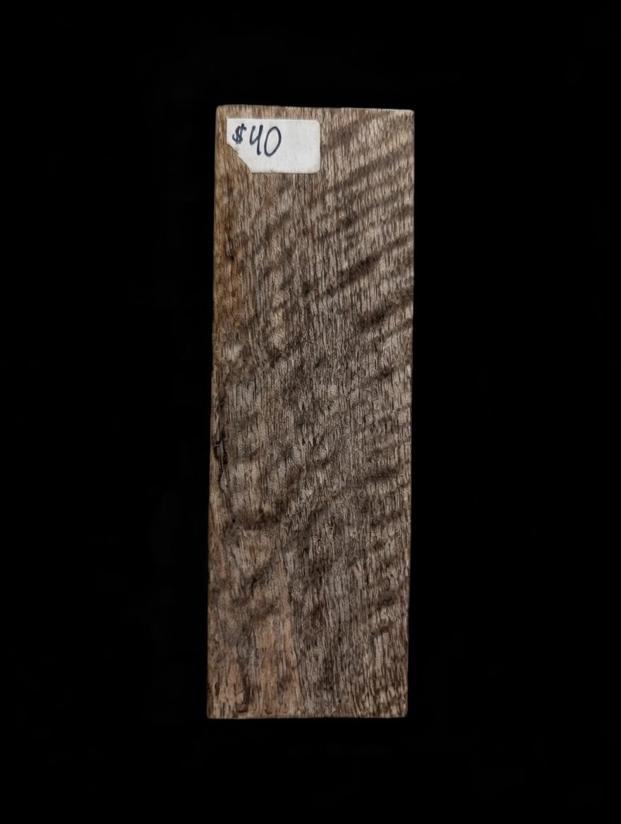 Spalted Mango Block #007