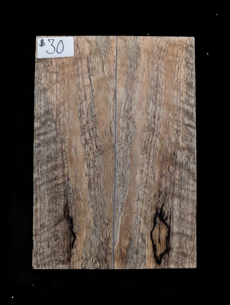 Spalted Mango Scales #002